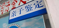 自贡孕期亲子鉴定办理费用鉴定咨询
