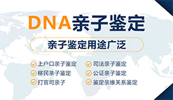 自贡司法DNA鉴定要如何办理专家咨询，自贡司法DNA亲子鉴定费用大概多少钱
