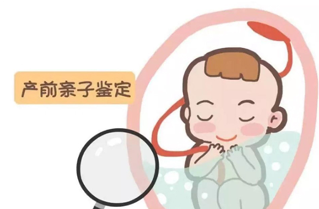 自贡孕期亲子鉴定需要怎么做,自贡怀孕亲子鉴定准确吗