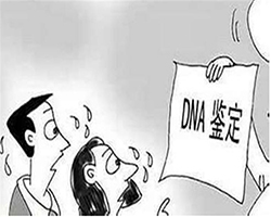 自贡司法DNA亲子鉴定大概收费【电话咨询】
