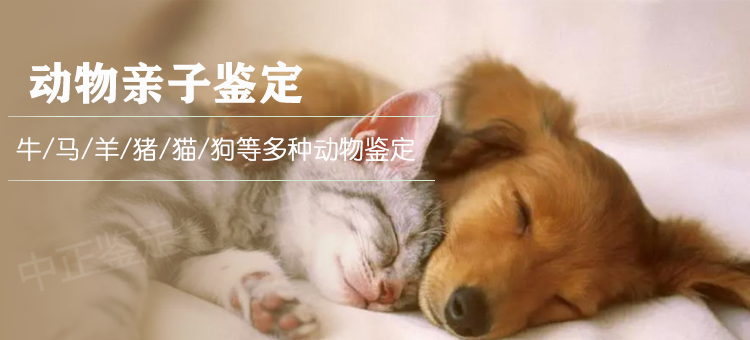 自贡动物鉴定