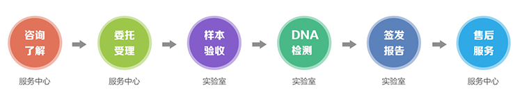 自贡隐私亲子鉴定流程