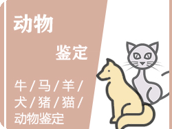 自贡动物鉴定