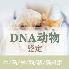 自贡动物鉴定